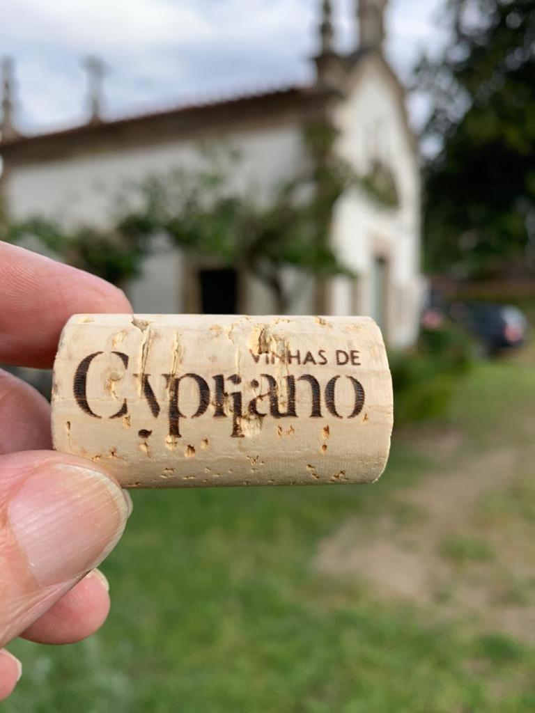 Quinta De Cypriano - Wine & Nature Ponte da Barca Exterior foto